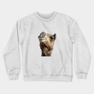 Moroccan dromedary camel Crewneck Sweatshirt